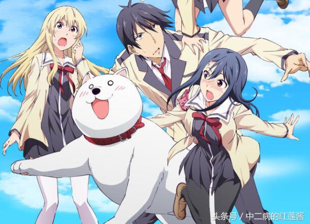 《笨女孩》被一个笨蛋带坏的小镇,唯独这条狗全面过人