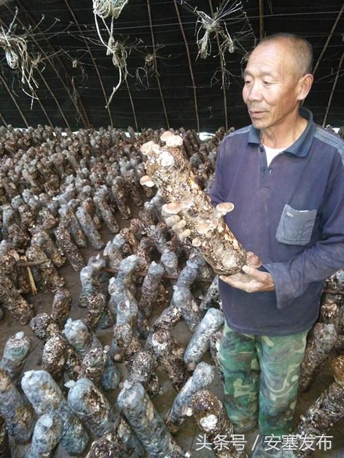 安塞读本：新农民新农村新希望——追赶超越看安塞之新型职业农民篇