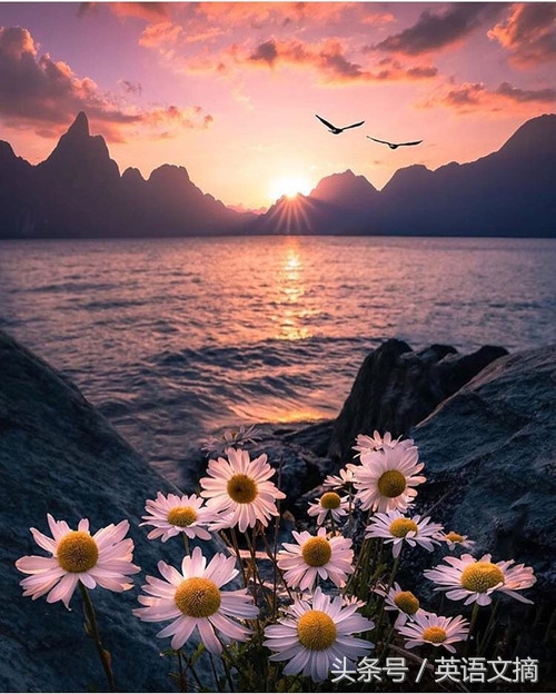 你是我今生的挚爱英文,你是我今生的挚爱英语翻译