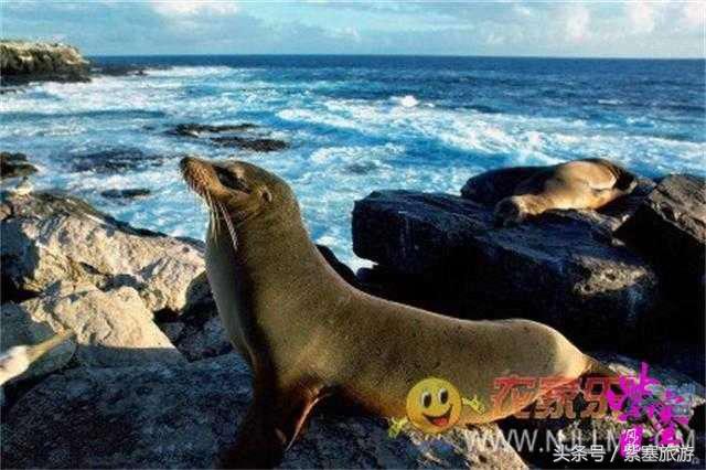 大钦岛渔家乐旅游攻略,紫塞北京农家乐