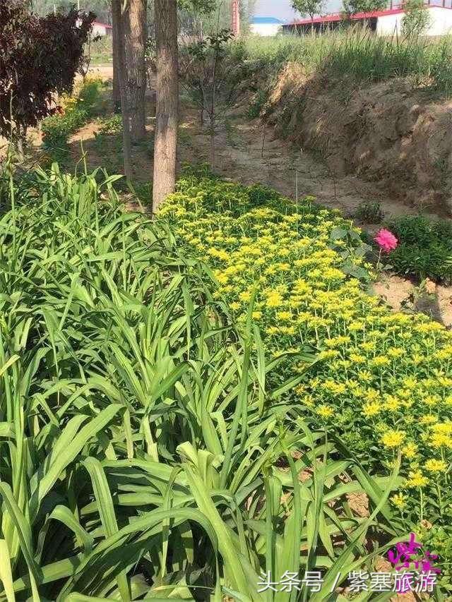 秦皇岛旅游住宿农家院,秦皇岛2日游攻略农家院