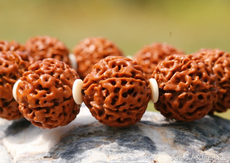 怎样区分金刚和尼泊尔金刚,尼泊尔金刚跟印尼金刚哪个好