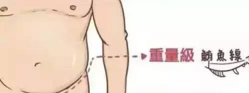 人鱼线等级划分标准,人鱼线是上下半身分界线吗