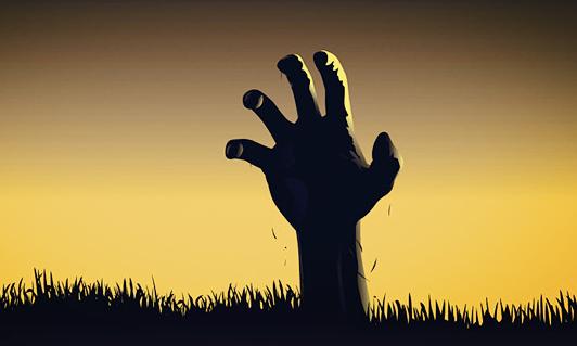 止跌反弹最佳选股方法,强势回调选股秘诀