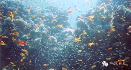 流体力学与深度学习,流体力学核心知识