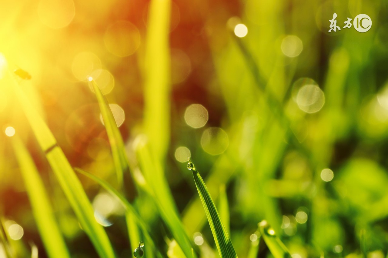 社交恐惧症用森田疗法,学森田疗法可以走出社交恐惧症