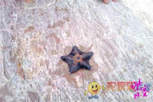 大钦岛渔家乐旅游攻略,紫塞北京农家乐