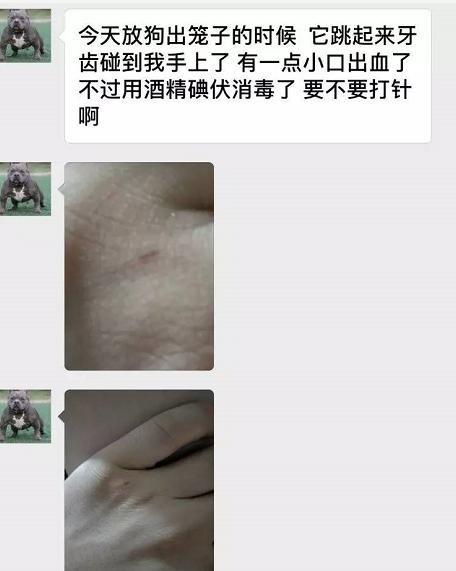 科学认识狂犬病别盲目害怕,最权威的狂犬病科普知识