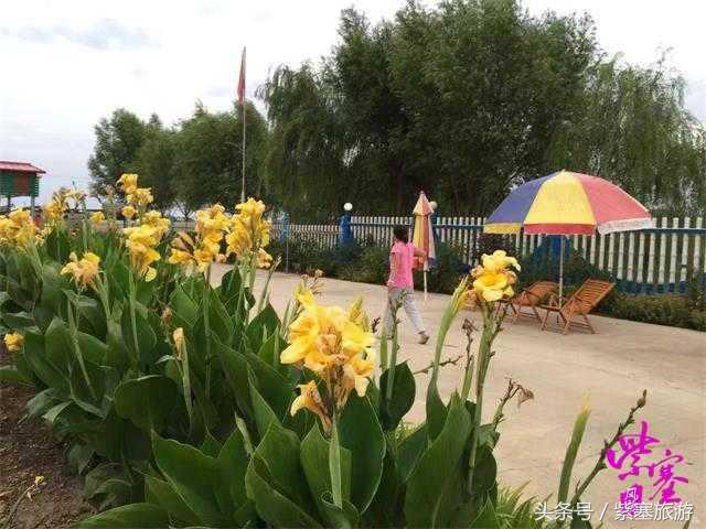 秦皇岛旅游住宿农家院,秦皇岛2日游攻略农家院