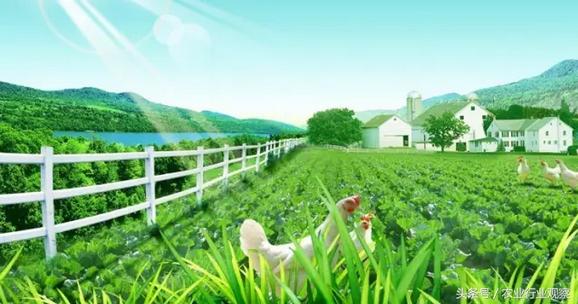 生态循环农业如何控制利润,现代农业六种盈利模式