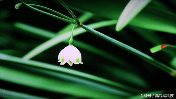 小米4a60寸,小米电视4aroot