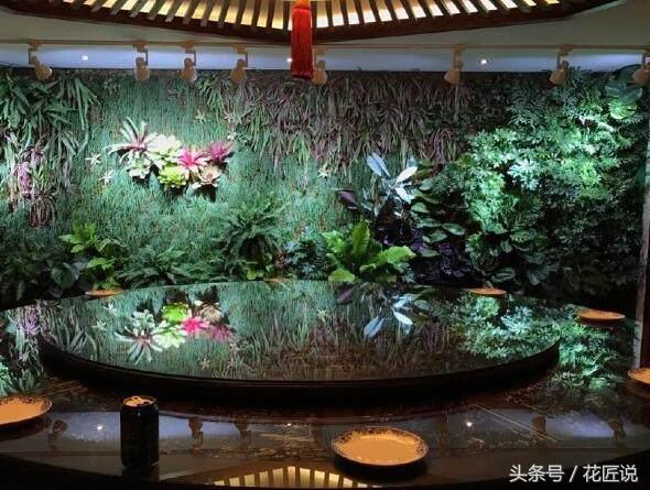 王昱珩热带雨林墙,王昱珩绿植墙怎么做的