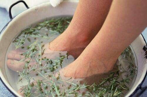 每天用艾草泡脚半小时有什么变化,三伏天艾草泡脚要泡多少次