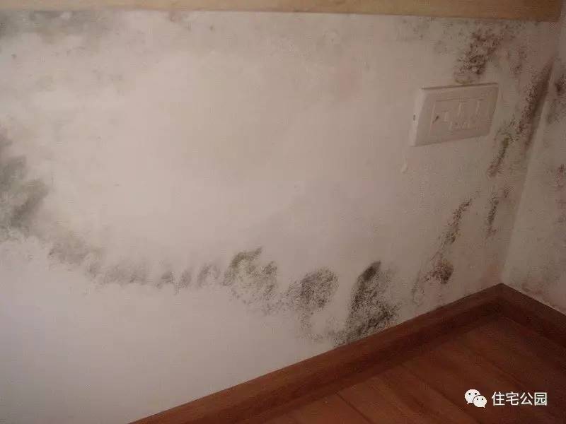 照着这些办法补救，你家房子也能50年不再返潮、发霉、起皮