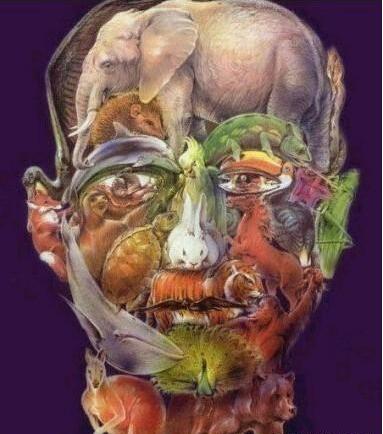 姑娘,我要是追上你就得履行承诺哦,可不要反悔哦