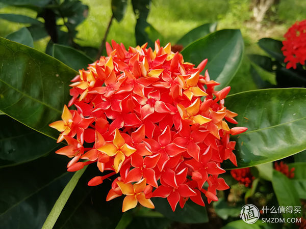 不一样的精彩绝伦,华为nova2plus测评