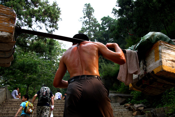 什么动物肾脏补肾最强,什么动物的肾可以补