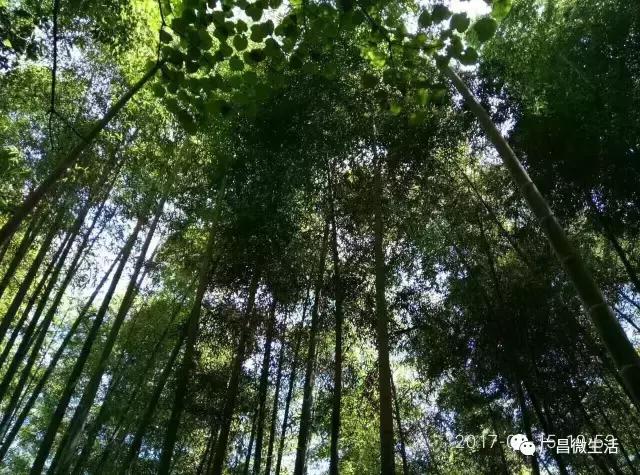 广昌最著名的景点,广昌避暑
