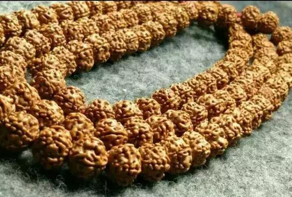 最近直播金刚菩提,金刚菩提水煮变色