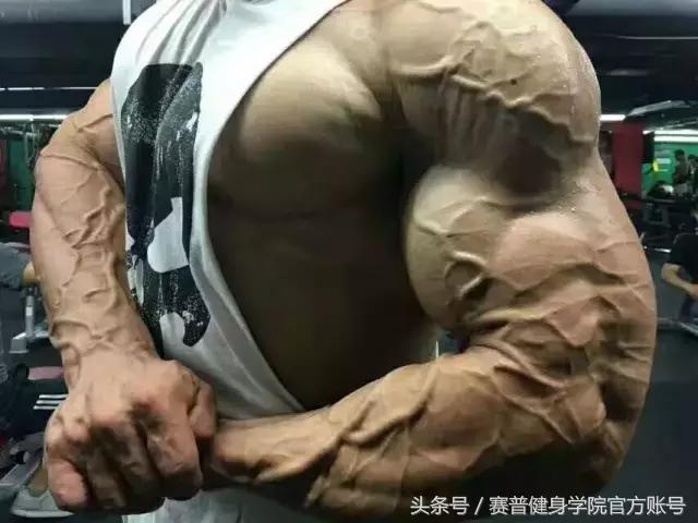 两个月备赛,2个月备赛刷脂流程