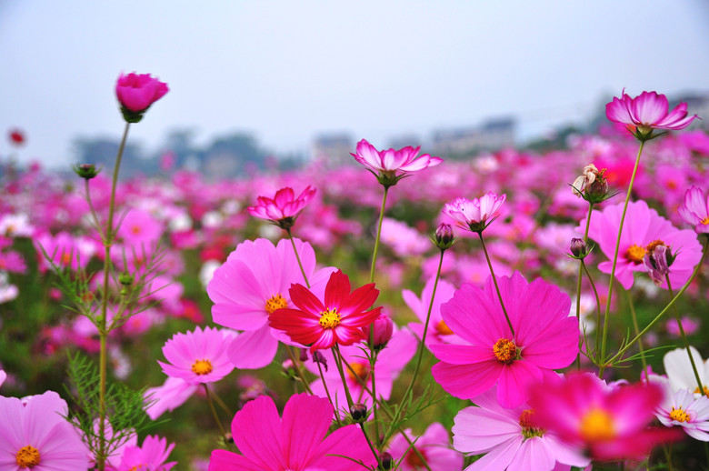 夏一站，我在仙林高校等你