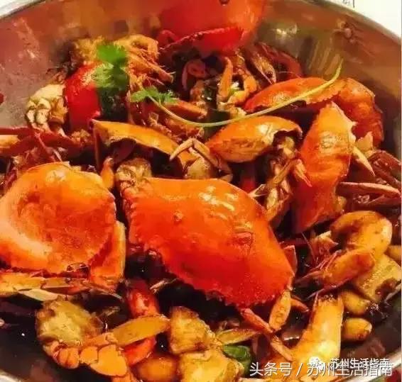 撸猫撸狗好去处苏州,苏州可以撸猫的园