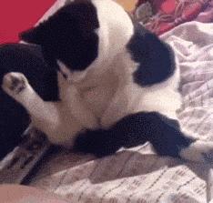 浜戝吇鐚殑鐥涚偣,浜戝吇鐚繃绋嬮亣鍒扮殑闅鹃