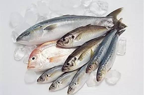 三伏天适合吃什么海鲜,三伏天能吃什么海鲜