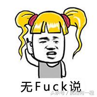 王思聪可以带狗上飞机吗 (王思聪飞机可以带狗吗)