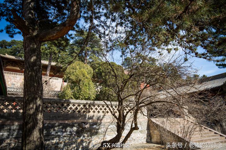 唐朝古建佛光寺,中国建筑第一国宝佛光寺
