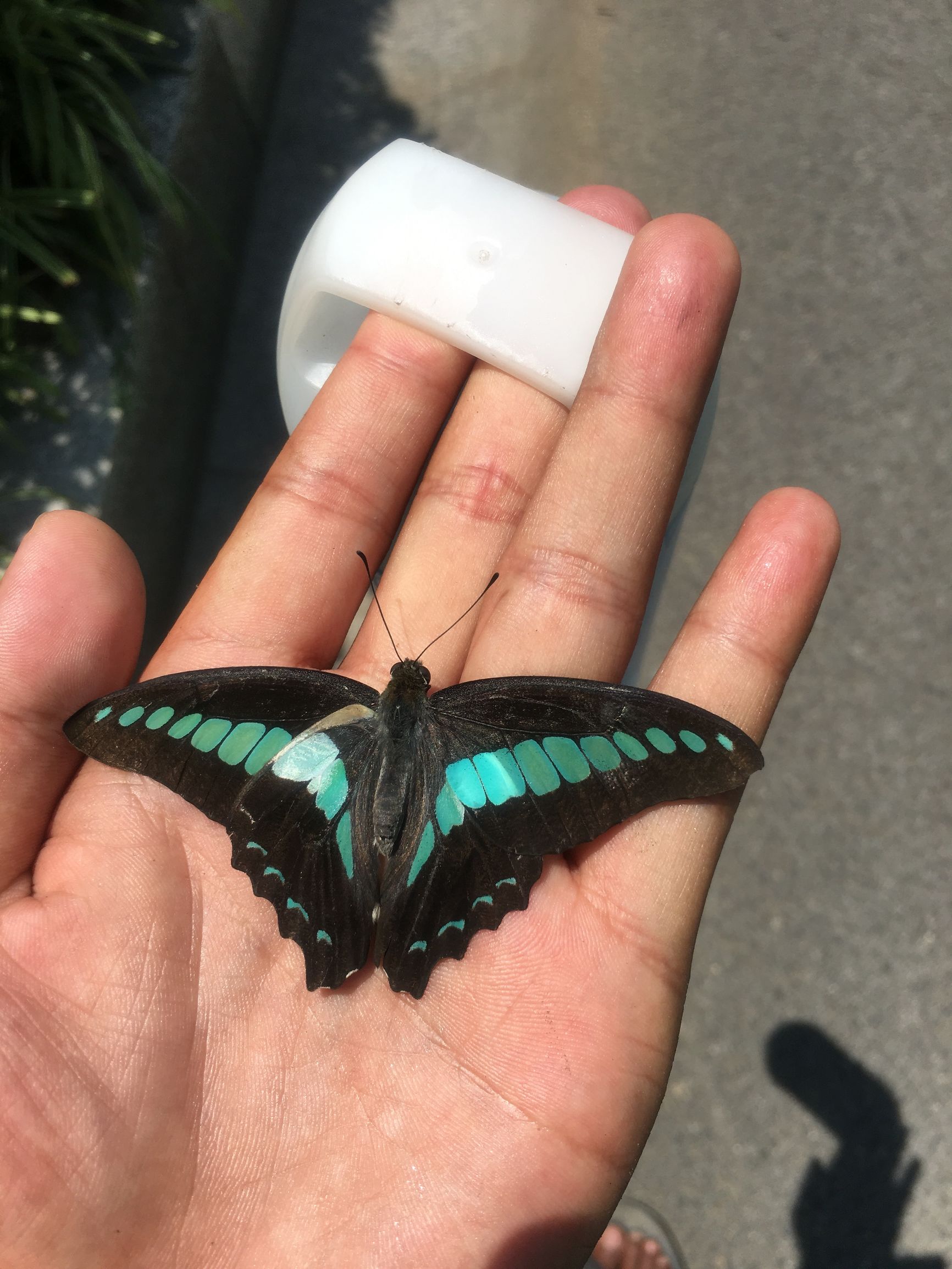 夏天防止中暑旅行准备什么,旅游高温中暑