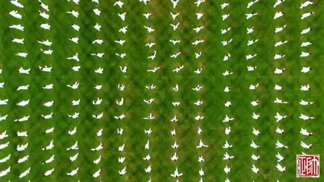 2025沈阳全国冬季运动会,沈阳市2019沈河区运动会