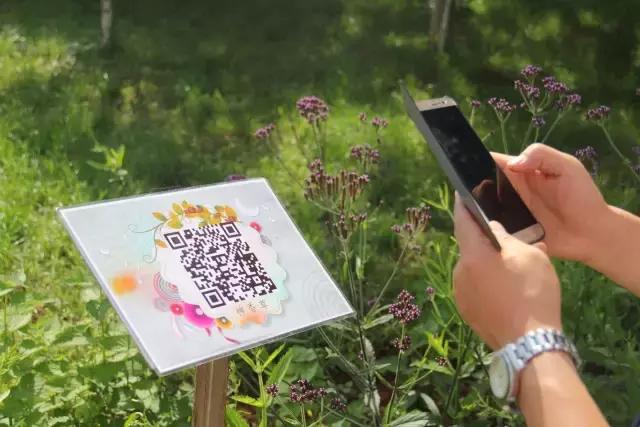 云南花海之行,云南花海基地旅游攻略