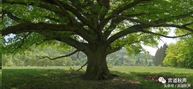 人工智能时代学哪些新技能,人工智能时代何时真正到来