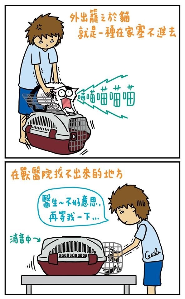 橘猫奇怪睡姿,橘猫睡了一觉