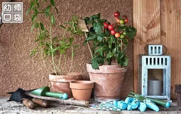 热ཽ到ཽ无ཽ法ཽ出ཽ门ཽ,30个小游戏让孩子在家玩转整个夏天