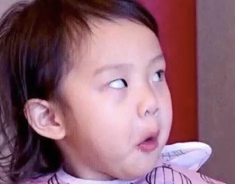 雷佳音沈腾刘烨都是东北哪里,雷佳音刘烨完整版