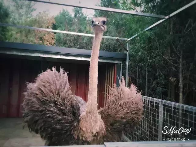 玩转怀柔丨无“水”不夏天,怀柔让你嗨翻天~