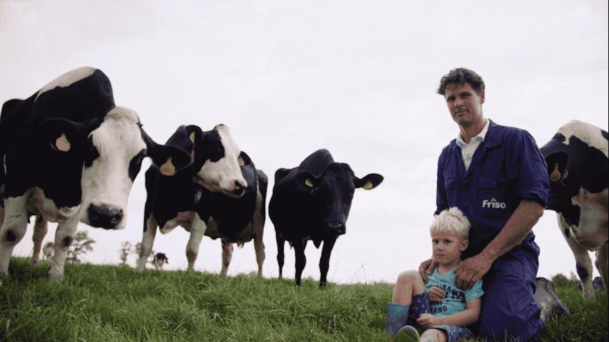 各国争抢黄金奶源，网友神评：不要争了，都是天猫国际哒！