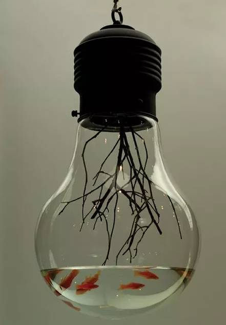 夏季怎样除身体湿气,夏天体内湿气容易加重吗