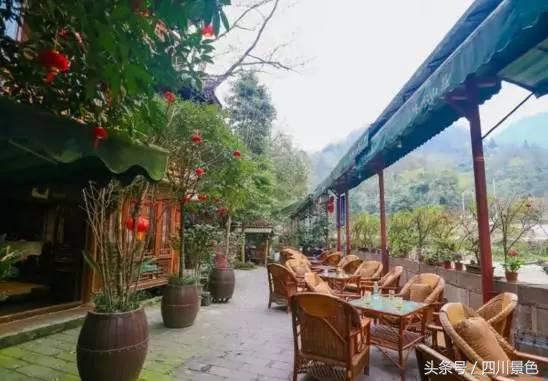 青城山前山哪里住宿便宜环境又好,青城山住宿推荐排名第一