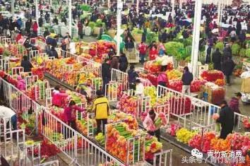 6亿资本作养料，鲜花市场究竟能开成什么样？