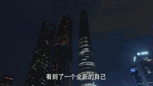 《我的前半生》罗子君项链,我的前半生罗子君有多少钱