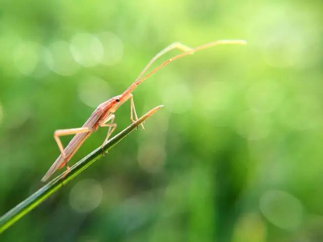 cmpa手机摄影欣赏,cmpa东莞坎普