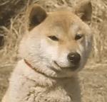 有了这七大神器，你也能成为韩剧中美的无懈可击的女主角！