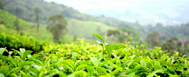 荨麻疹皮肤瘙痒警惕4种疾病,麻疹痒是什么原因引起的