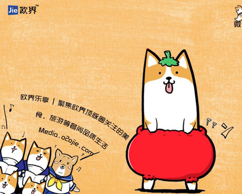 iphone图片编辑使用技巧,iphone6自带有哪些软件