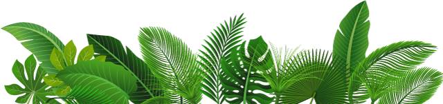 盘点好用的脱毛产品推荐,推荐好用脱毛产品