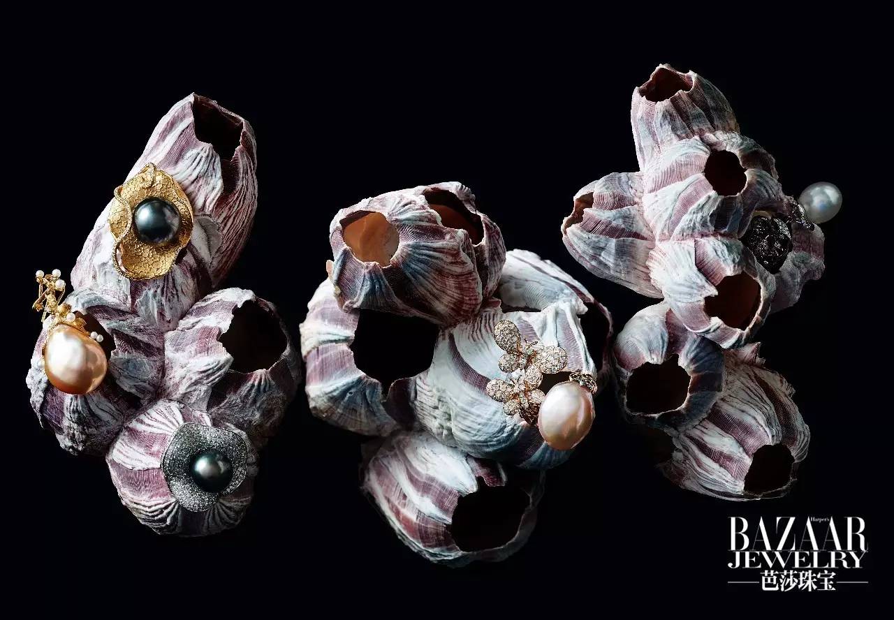 炫美图|热到和太阳肩并肩?芭珠姐带你去海底捞珍珠!