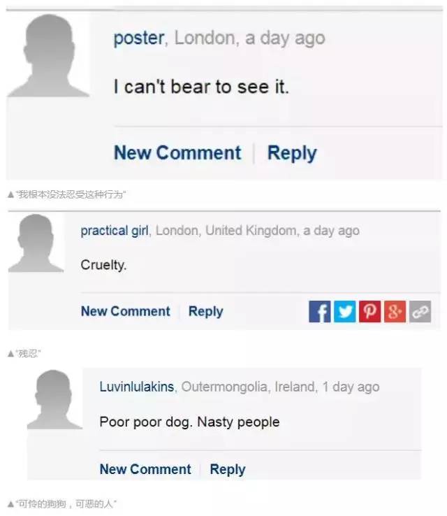 不能笑！因为国宝看了这条新闻能气死